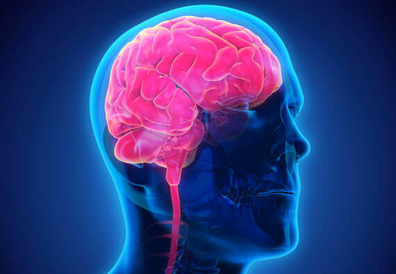 Brain Injuries