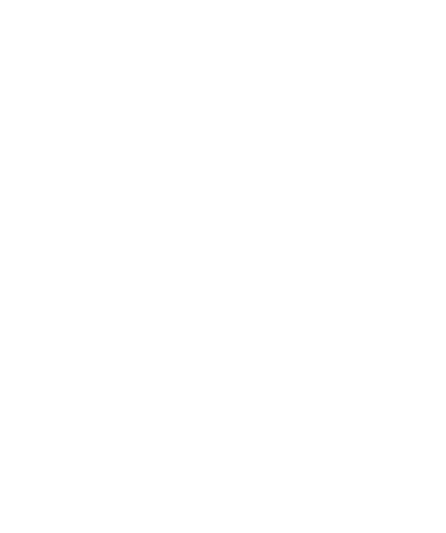 Prenuptial Agreement